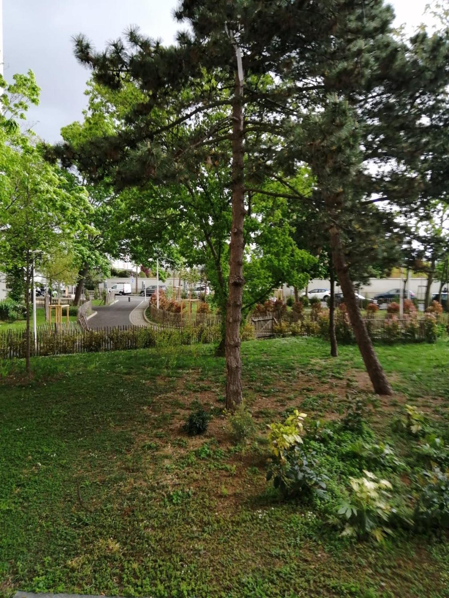 Joli Appartement 49 M² Proche Centre Paris, イシー＝レ＝ムリノー エクステリア 写真